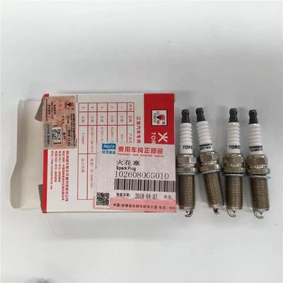 JAC J3 J5 J6 S3 VVT Motor Spark Plug 10 sets Autoonderdelen met OE-nummer 1026080GG010