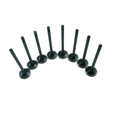 Refine Rein Sunray Inlaat- en uitlaatkleppen Stalen materiaal OE NO. 1003014FB/1003015FB