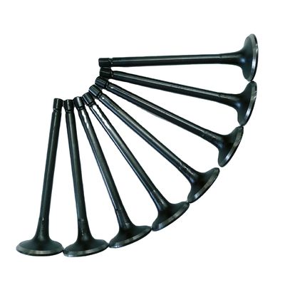 Refine Rein Sunray Inlaat- en uitlaatkleppen Stalen materiaal OE NO. 1003014FB/1003015FB