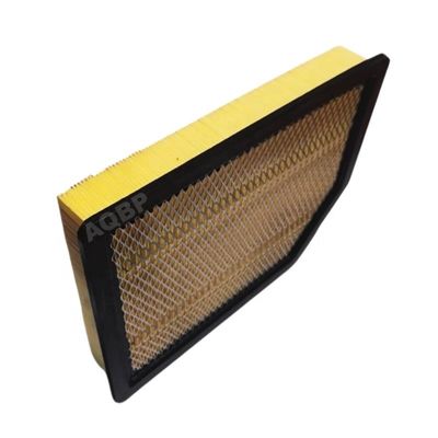 Standaard auto-onderdelen motorluchtfilter voor JAC-pickup T6 T8 1109130P3030