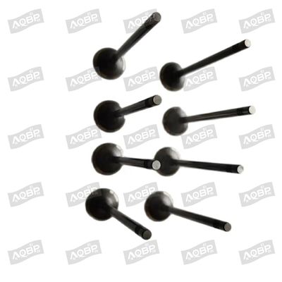 Shuailing T6 15/04- OE nummer 1003014FD040 Inlaatklep voor 2007- Automotive parts