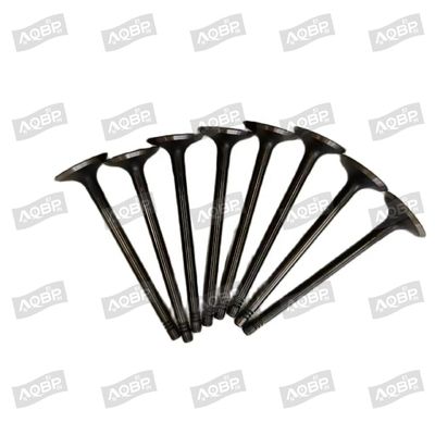 Shuailing T6 15/04- OE nummer 1003014FD040 Inlaatklep voor 2007- Automotive parts