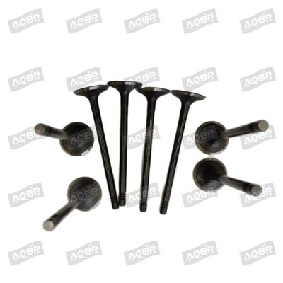 Shuailing T6 15/04- OE nummer 1003014FD040 Inlaatklep voor 2007- Automotive parts