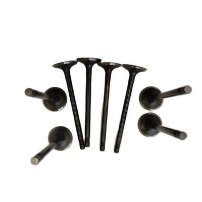 Shuailing T6 15/04- OE nummer 1003014FD040 Inlaatklep voor 2007- Automotive parts