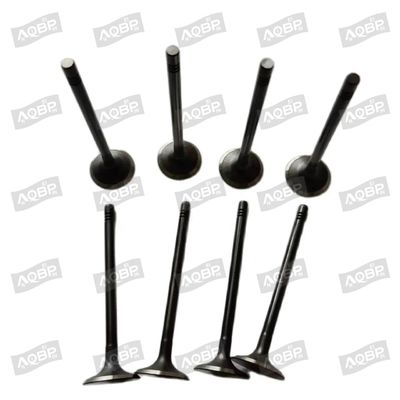Shuailing T6 15/04- OE nummer 1003014FD040 Inlaatklep voor 2007- Automotive parts