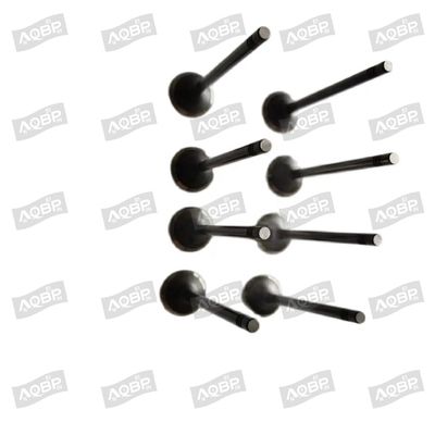 Shuailing T6 15/04- OE nummer 1003014FD040 Inlaatklep voor 2007- Automotive parts