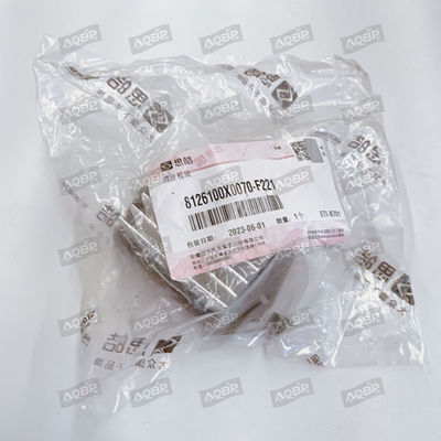 OE NO. 8126100x0070-f221 iEV7S SUV 17.10- snelheidsregelmodule voor JAC-energievoertuig