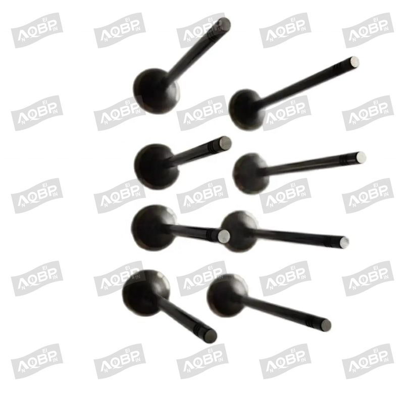 Shuailing T6 15/04- OE nummer 1003014FD040 Inlaatklep voor 2007- Automotive parts